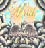 Mud (Turtleback School & Library Binding Edition)
