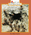 Rookie Read-About� Science-Animals: Inside an Ant Colony