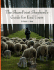 The Sharepoint Shepherd's Guide for End Users