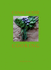 Canal House Cooking Volume No. 3: Winter & Spring (Volume 3)