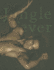 Jungle Fever (David Vance)