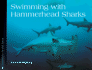Swimming With Hammerhead Sharks (Scientists in the Field)