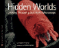 Hidden Worlds: Looking Through a Scientist's Microscope (Scientists in the Field Series)