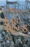 The Lord of the Rings (3 Volumes)