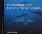 Swimming With Hammerhead Sharks