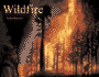 Wildfire