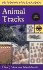 A Field Guide to Animal Tracks