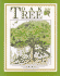 Oak Tree