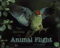 The Secrets of Animal Flight