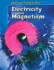 McDougal Littell Science: Electricity and Magnetism: Student Edition 2007