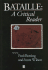 Bataille: a Critical Reader (Blackwell Critical Reader)