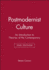 Postmodernist Culture: an Introduction to Theories of the Contemporary