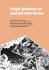 Pelagic Sediments: on Land and Under the Sea (International Association of Sedimentologists Series)