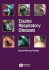 Equine Respiratory Diseases