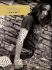 Jennifer Knapp-the Collection