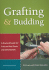 Grafting and Budding: A Practical Guide for Fruit and Nut Plants and Ornamentals