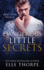 Dangerous Little Secrets: A Reverse Harem Bully Romance