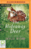 Hideaway Deer, the