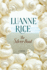 The Silver Boat: a Novel