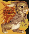 Bunny's Numbers