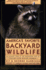 America's Favorite Backyard Wildlife