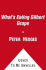 What's Eating Gilbert Grape