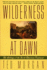 Wilderness at Dawn: the Settling of the North American Continent