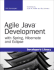 Agile Java Development With Spring, Hibernate and Eclipse