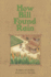 Reading 2000 Leveled Reader 1.22b How Bill Found Rain (Scott Foresman Reading: Blue Level)