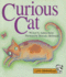 Curious Cat (Little Celebrations)