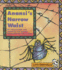 Cr Little Celebrations Anansi's Narrow Waist Grade 1 Copyright 1995
