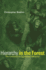 Hierarchy in the Forest: the Evolution of Egalitarian Behavior