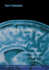 Neural Plasticity: the Effects of Environment on the Development of the Cerebral Cortex