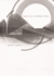Engineering-an Endless Frontier