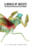 A World of Insects: the Harvard University Press Reader
