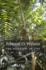 The Diversity of Life: With a New Preface (Questions of Science)