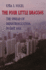 The Four Little Dragons: the Spread of Industrialization in East Asia
