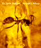 The Insect Societies (Belknap Press)