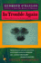 In Trouble Again: a Journey Between Orinoco and the Amazon (Vintage Departures)