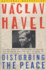 Disturbing the Peace: a Conversation With Karel Huizdala