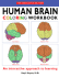 Human Brain Colouring Workbook (Princeton Review)