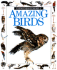 Amazing Birds (Eyewitness Junior)