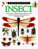 Insect