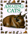 Amazing Cats (Eyewitness Junior)