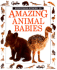 Amazing Animal Babies (Eyewitness Junior)