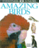 Amazing Birds (Eyewitness Juniors)