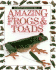Amazing Frogs and Toads (Eyewitness Juniors)