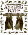 Amazing Bats (Eyewitness Juniors)
