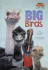 Big Birds (Step Into Reading)