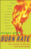 Burn Rate: How I Survived the Gold Rush Years on the Internet
